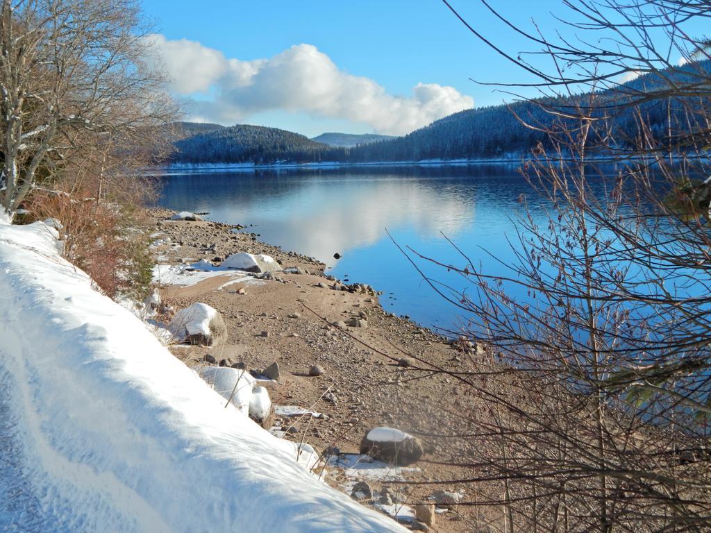 Hochschwarzwald-Hof Hotel Schluchsee Eksteriør billede