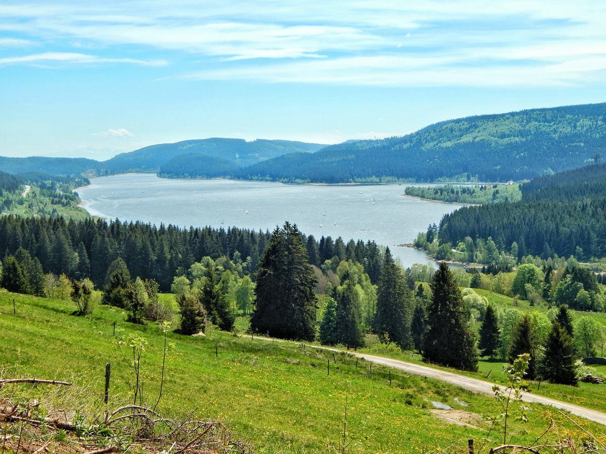 Hochschwarzwald-Hof Hotel Schluchsee Eksteriør billede